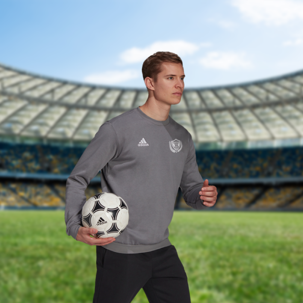 Adidas Entrada 18 sweater